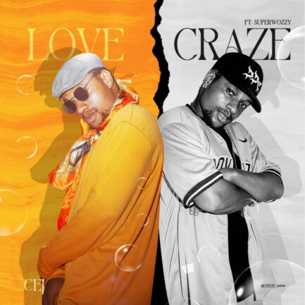Love _ Craze downloaded from SpotiSongDownloader.com_